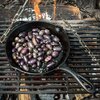 Сковорода Petromax чугунная FIRE SKILLET с длинной ручкой 25 см