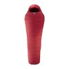 Спальный мешок (спальник) Mountain Equipment Glacier 700 Long LZ