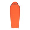 Вкладыш в спальник Sea To Summit Reactor Extreme Sleeping Bag Liner Mummy Standart