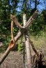 Черпак Petromax Ladle Olive Wood 60 мл